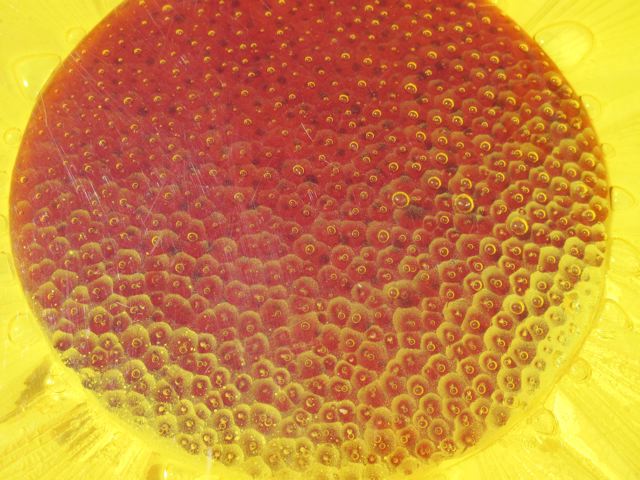 Lucite Daisy Lazy Susan